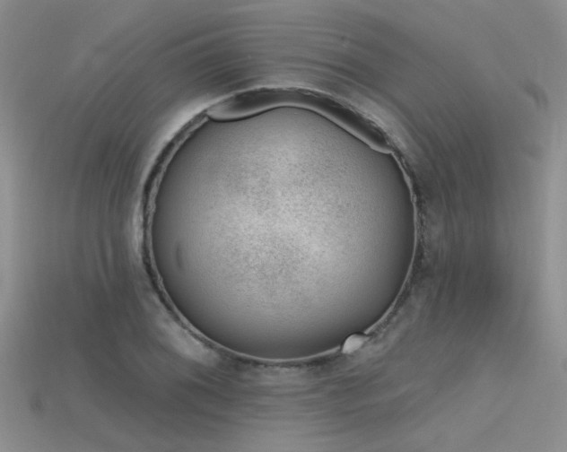 X0000115671076200911121148