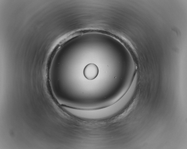 X0000115671077200911121148