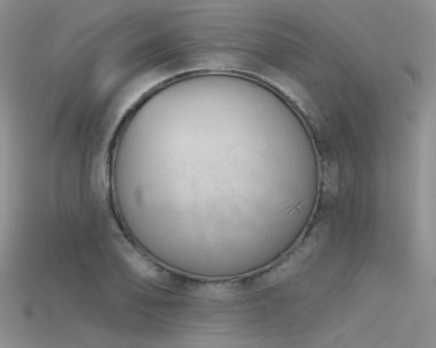 X0000115671078200911121148