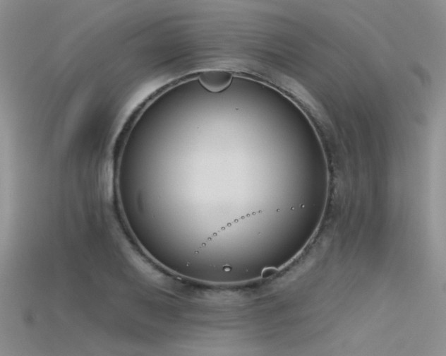 X0000115671079200911121148