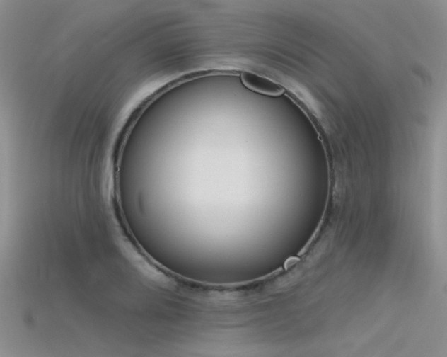 X0000115671080200911121147
