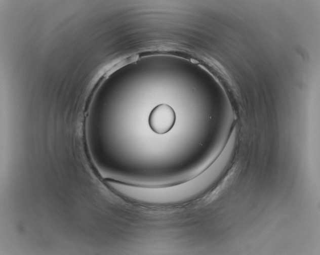 X0000115671081200911121147