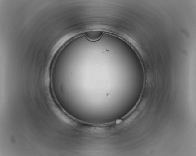 X0000115671082200911121147