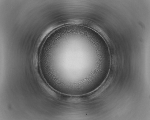 X0000115671083200911121147