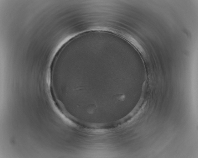 X0000115671084200911121147