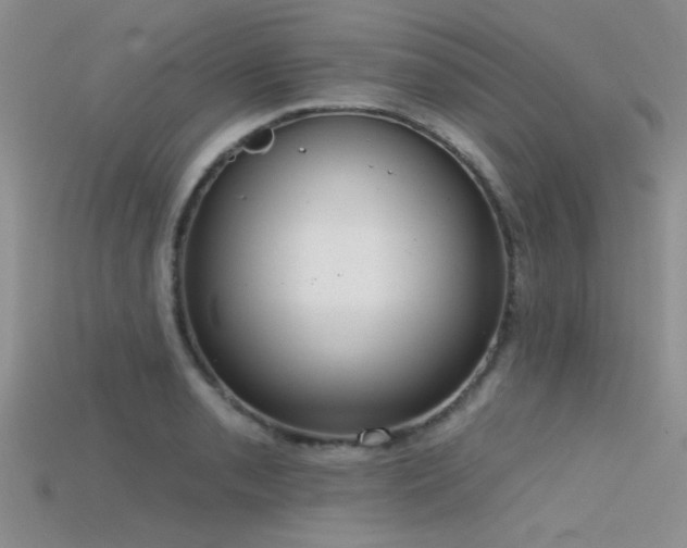 X0000115671085200911121147