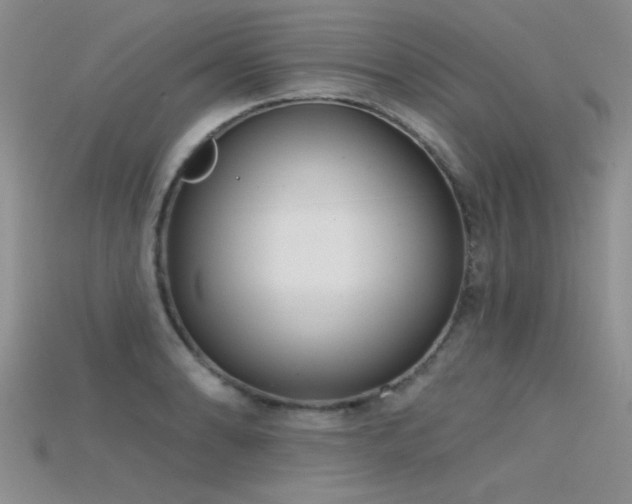 X0000115671086200911121147