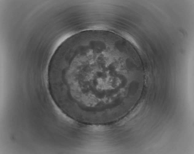 X0000115671087200911121147