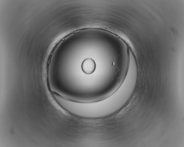 X0000115671088200911121147
