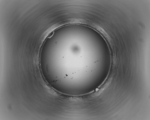 X0000115671089200911121147