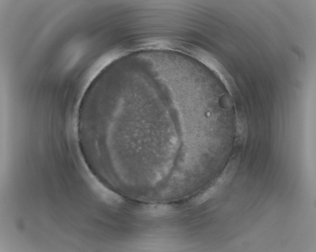 X0000115671090200911121147