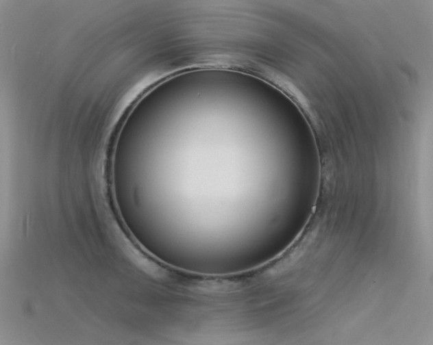 X0000115671091200911121147