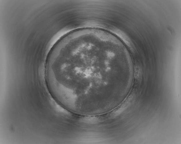 X0000115671094200911121147