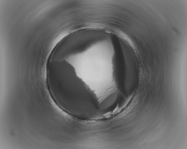 X0000115671095200911121147