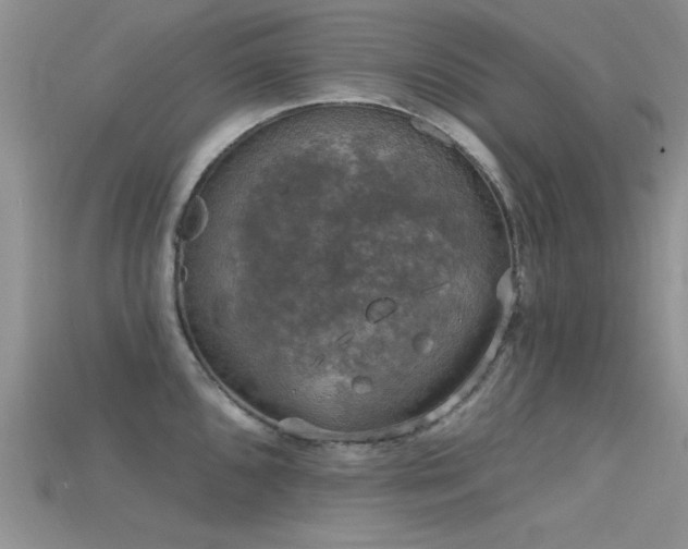 X0000115671096200911121147