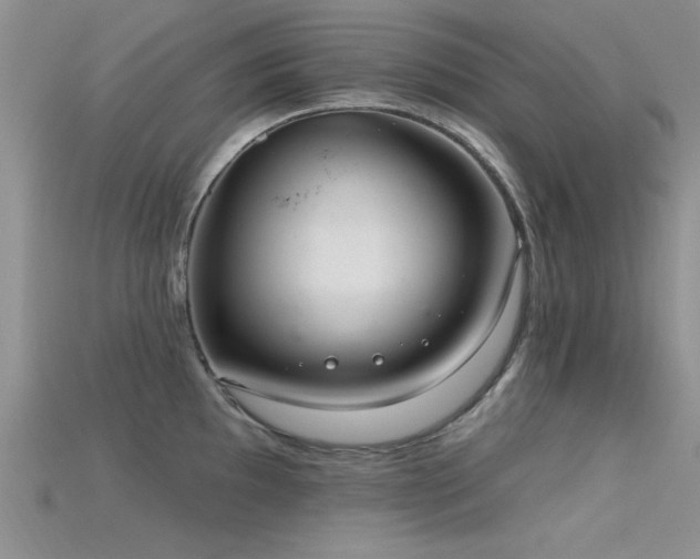 X0000115671097200911121147