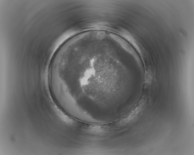 X0000115671098200911121147