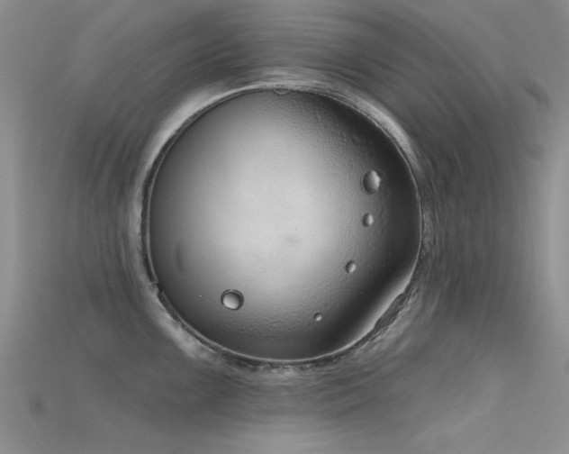 X0000115671099200911121147