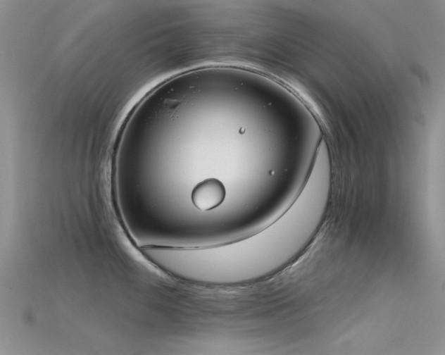 X0000115671100200911121147