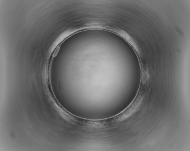 X0000115671101200911121147