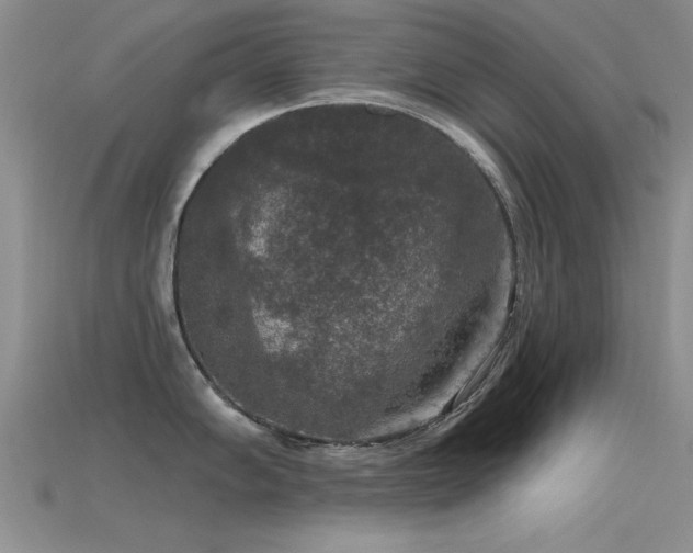 X0000115671102200911121147
