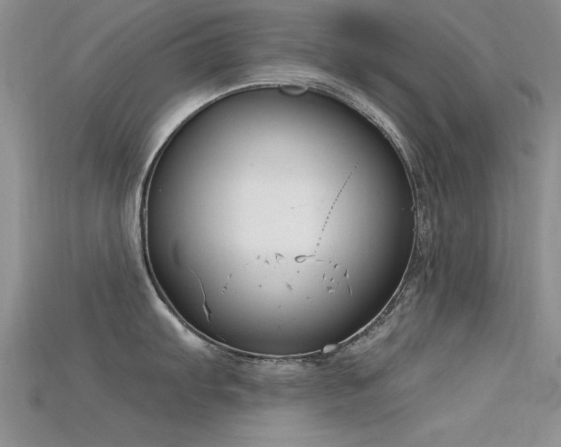 X0000115671103200911121147