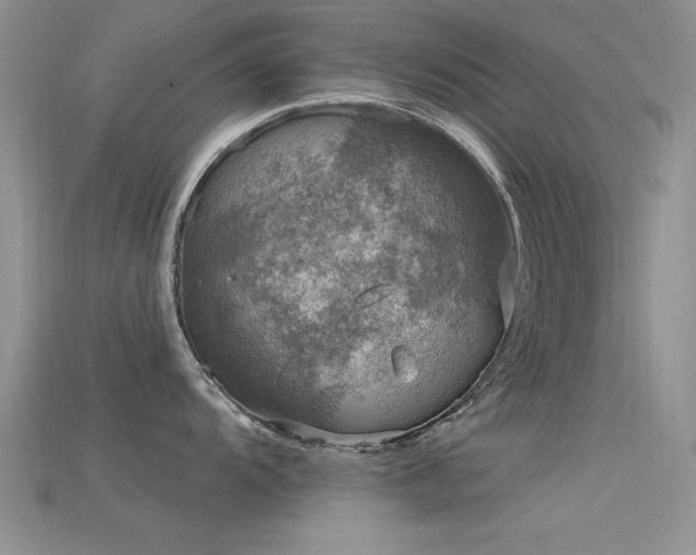 X0000115671104200911121147