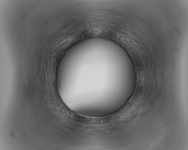 X0000115671105200911121147