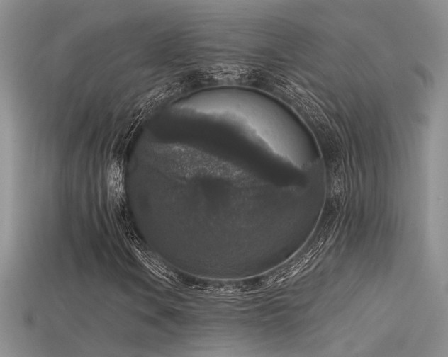 X0000115671106200911121147