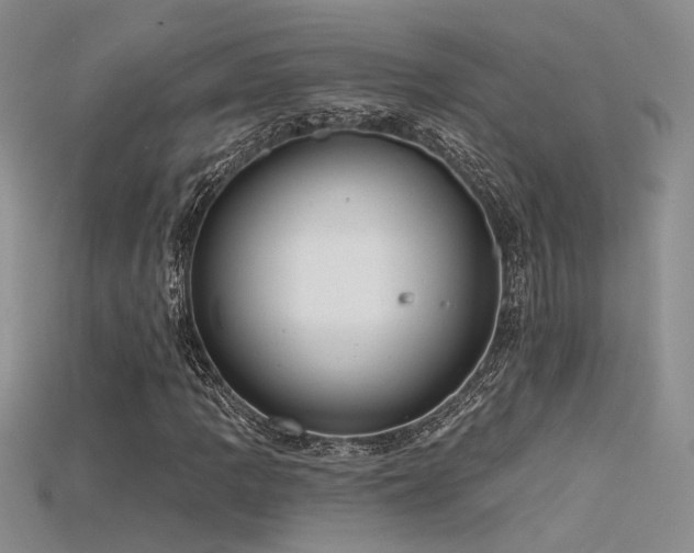 X0000115671109200911121147