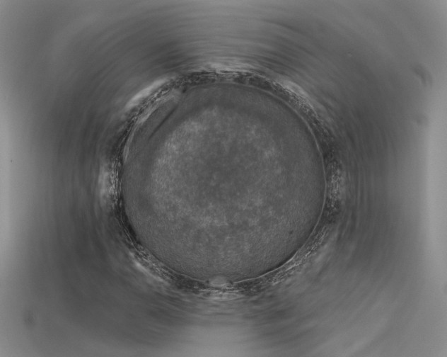 X0000115671110200911121147