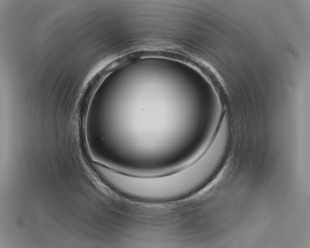 X0000115671114200911121147