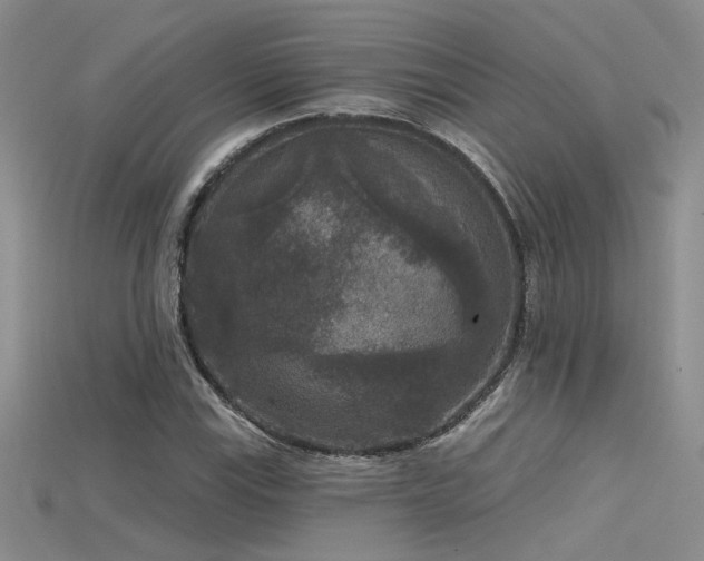 X0000115671115200911121147
