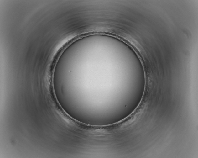 X0000115671119200911121147