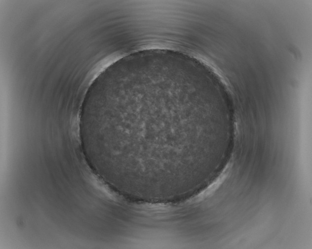 X0000115671121200911121147