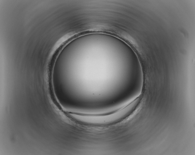 X0000115671122200911121147