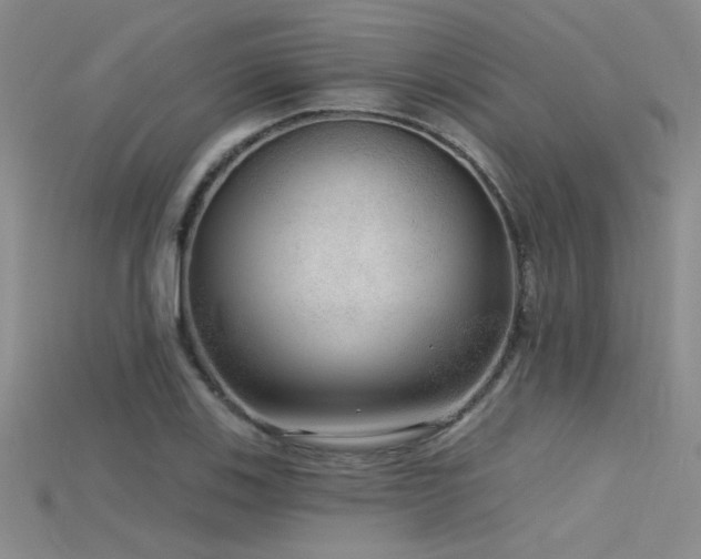 X0000115671123200911121147