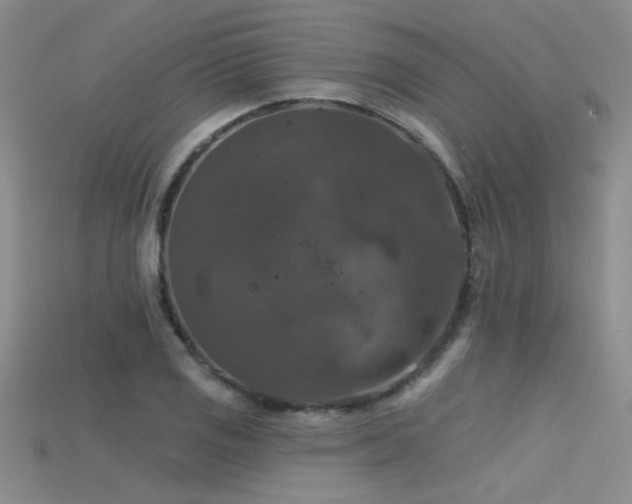 X0000115671125200911121147