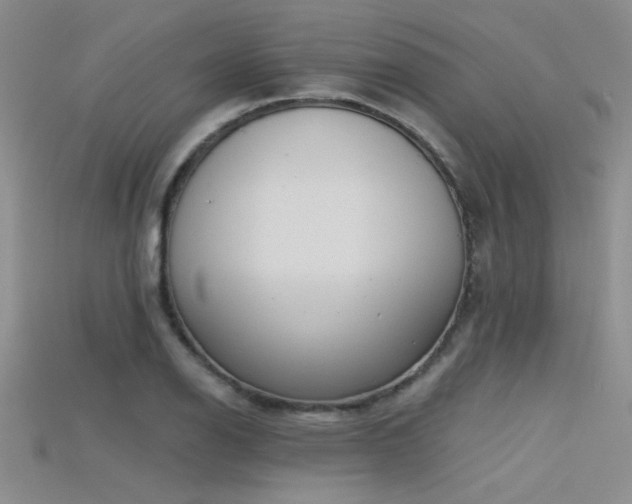 X0000115671126200911121147