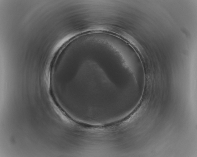 X0000115671127200911121147