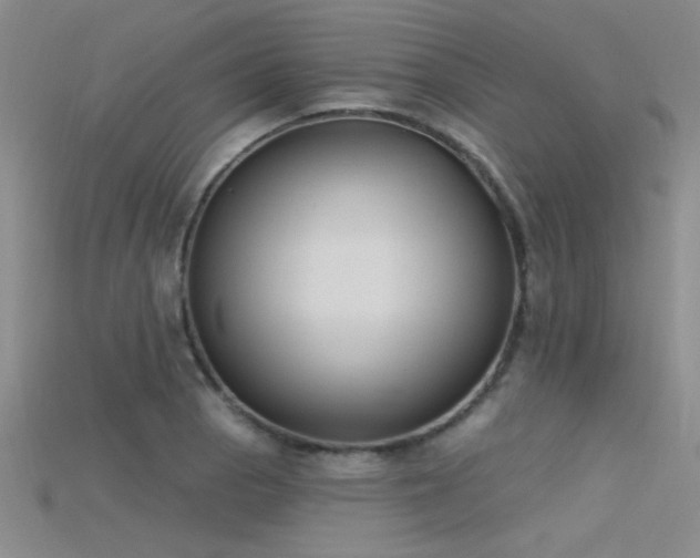 X0000115671129200911121147