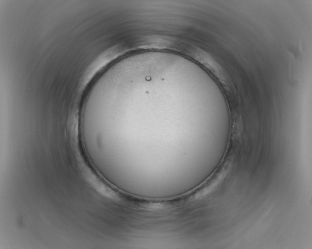 X0000115671130200911121147