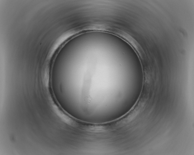 X0000115671131200911121147