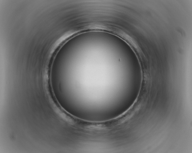 X0000115671133200911121147
