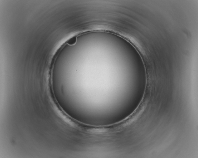 X0000115671134200911121147