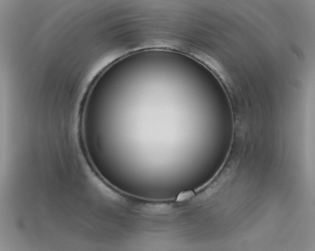 X0000115671135200911121147