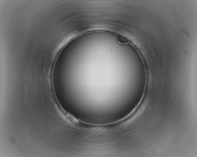 X0000115671137200911121147