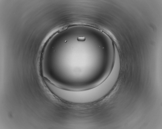 X0000115671138200911121147