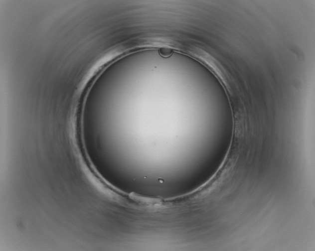 X0000115671139200911121147