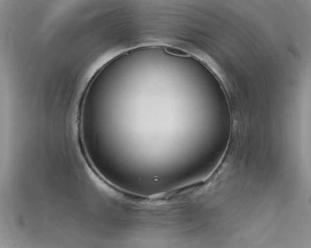 X0000115671143200911121147